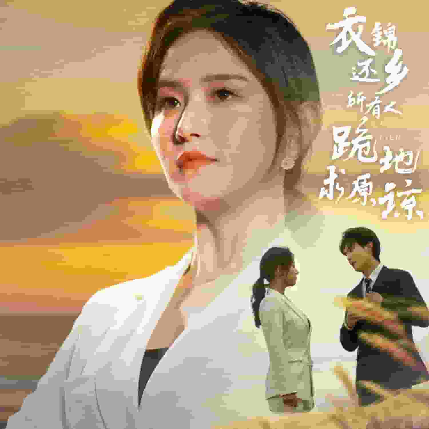 衣锦还乡，所有人跪地求原谅 第17集