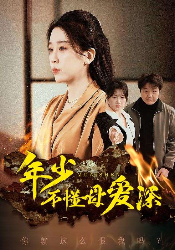 年少不懂母爱深 第17集