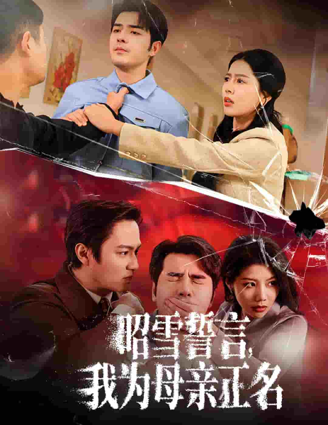 昭雪誓言我为母亲正名 第15集