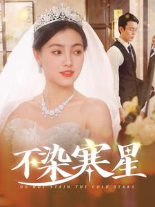 不染寒星 第87集