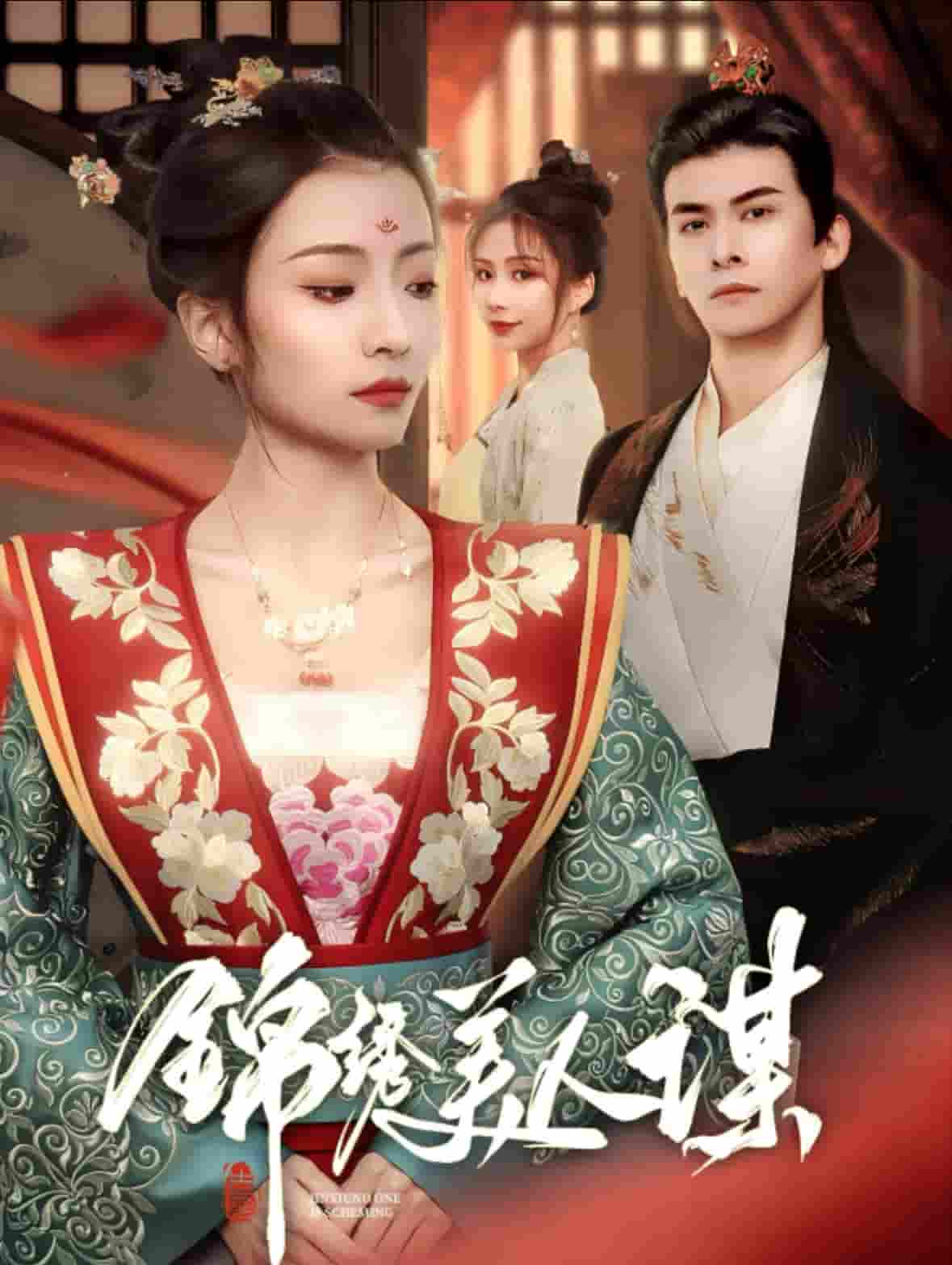 锦绣美人谋 第64集