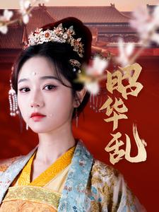 昭华乱 第73集