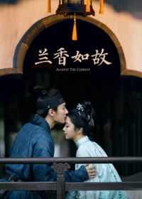 兰香如故