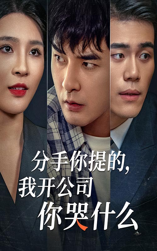 分手你提的，我开公司你哭什么(全集)