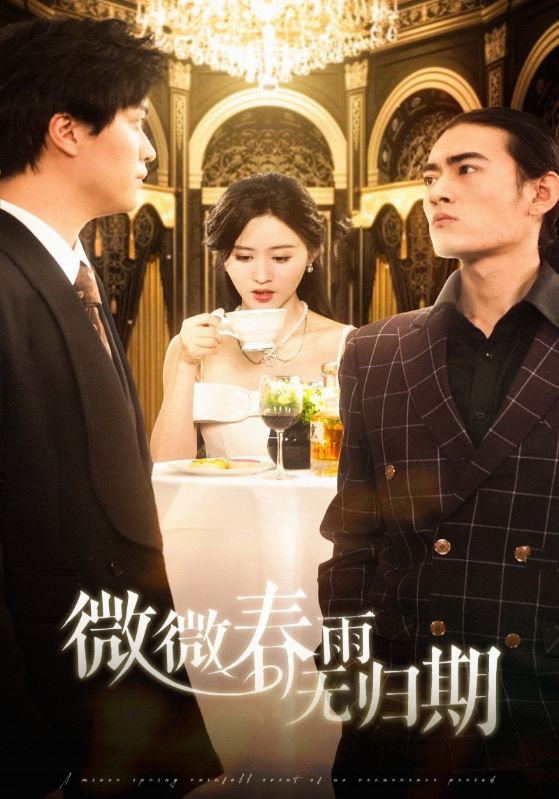 微微春雨无归期(全集)