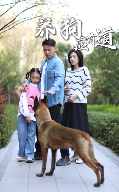 养狗应有道(全集)