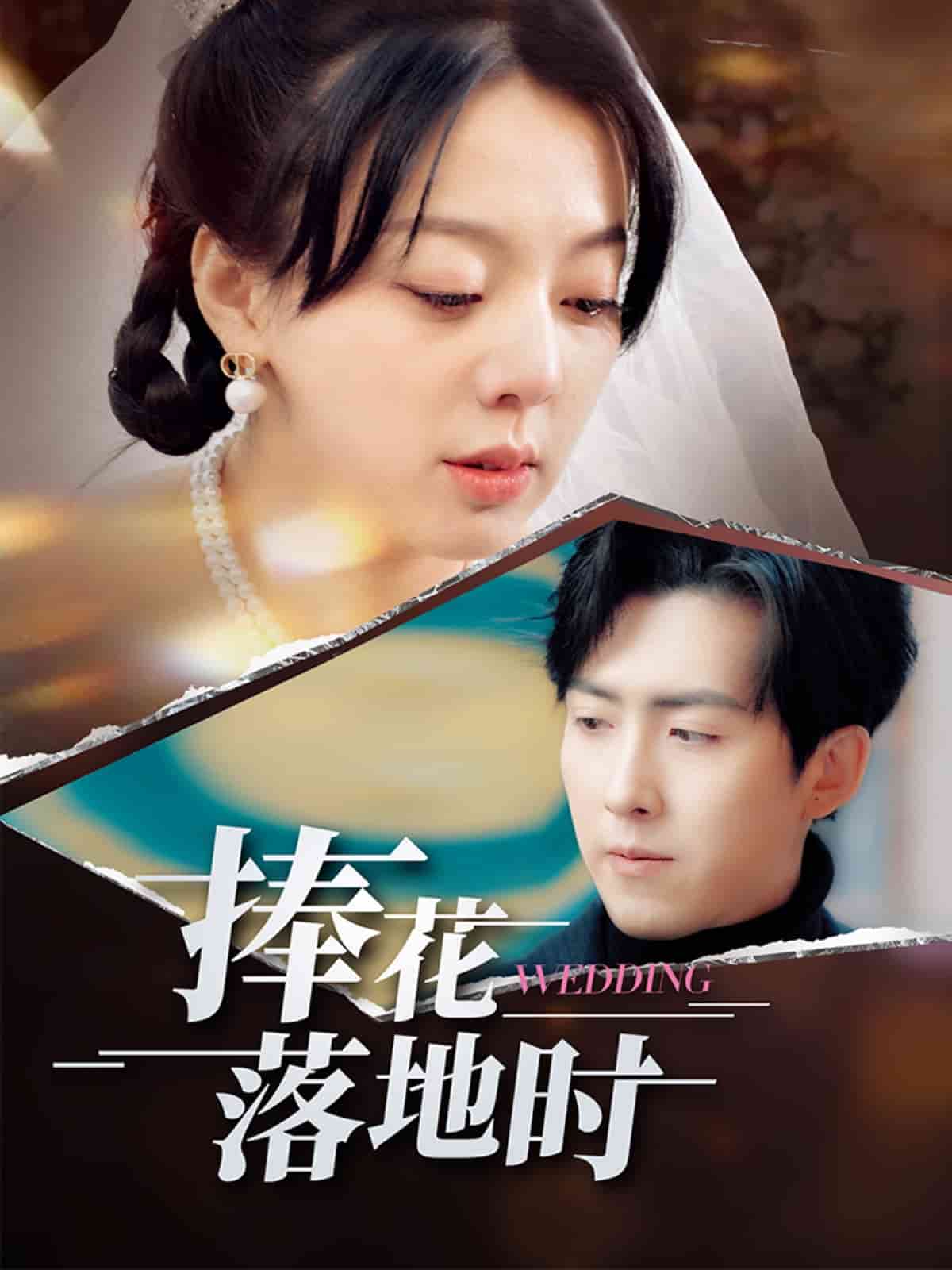 捧花落地时(全集)