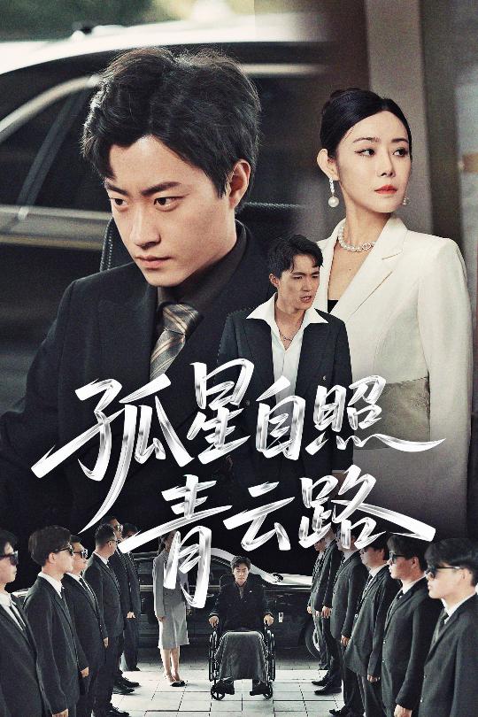 孤星自照青云路(全集)
