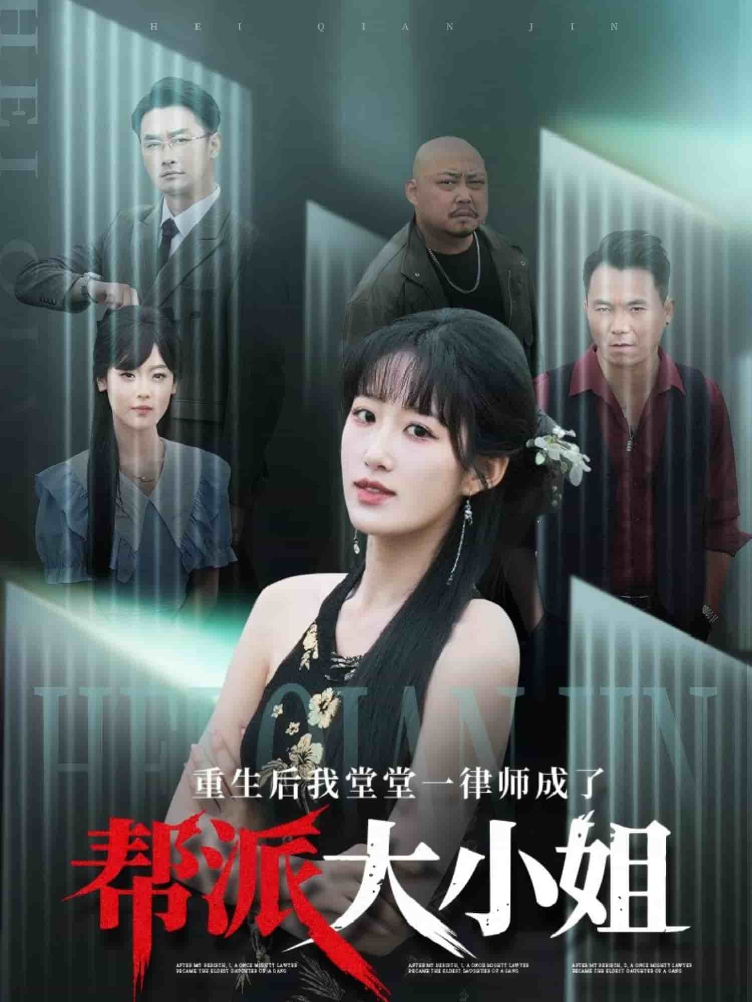 重生后我堂堂一律师成了帮派大小姐(全集)