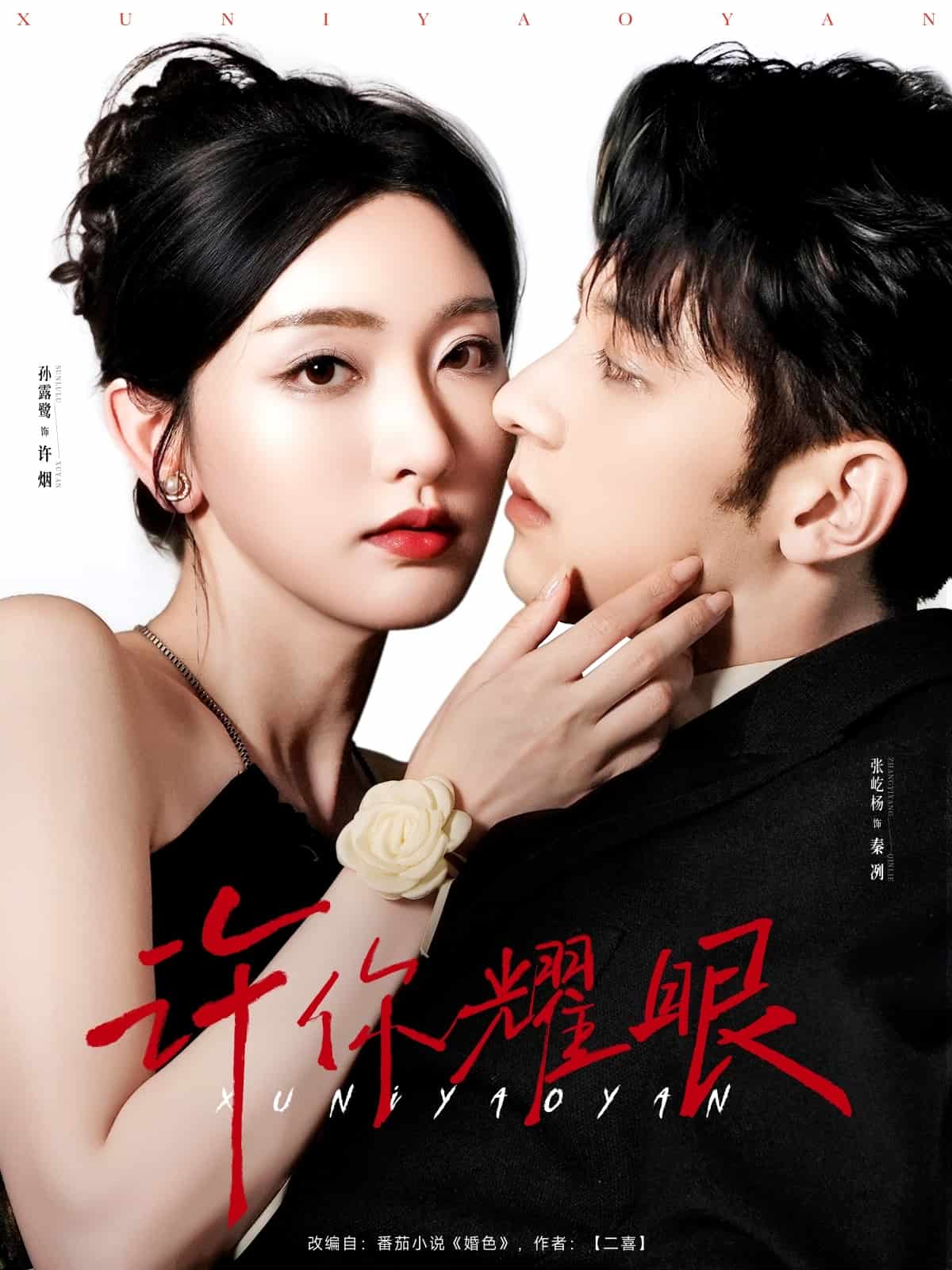 许你耀眼(全集)