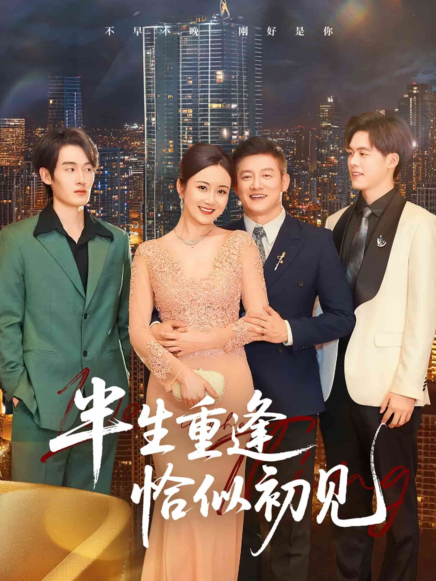 半生重逢恰似初见(全集)