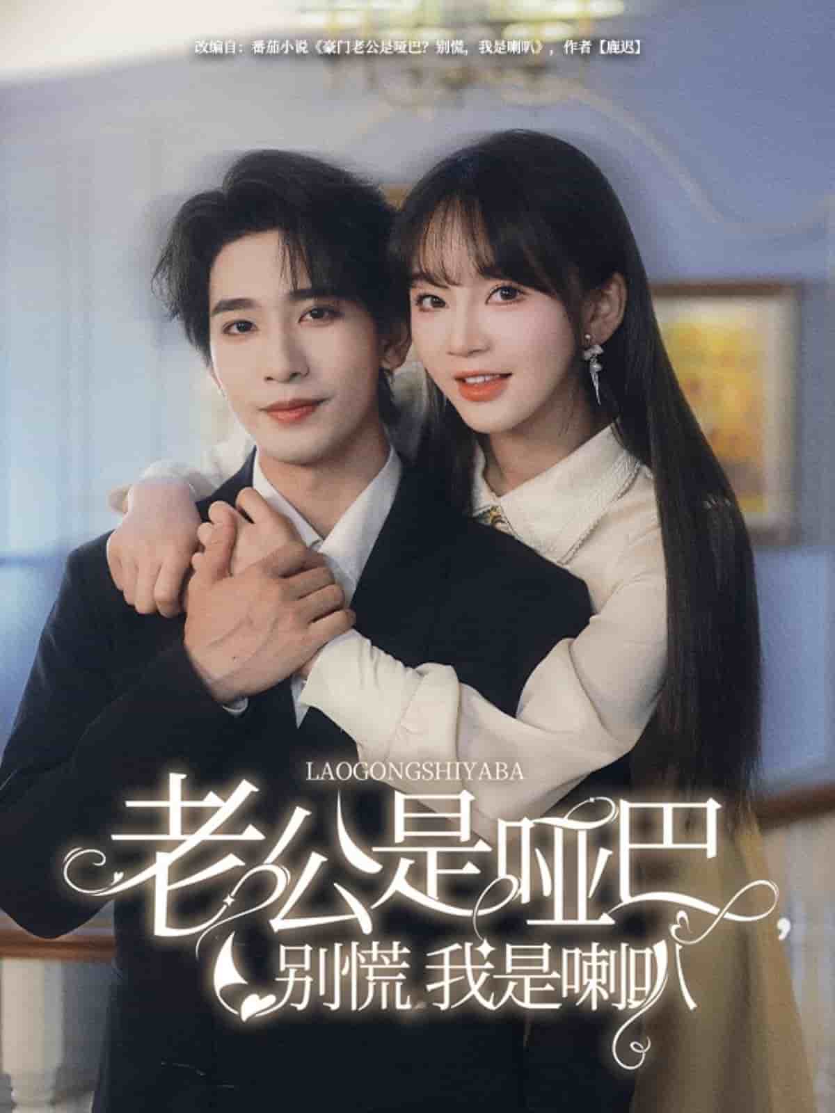 老公是哑巴，别慌我是喇叭(全集)