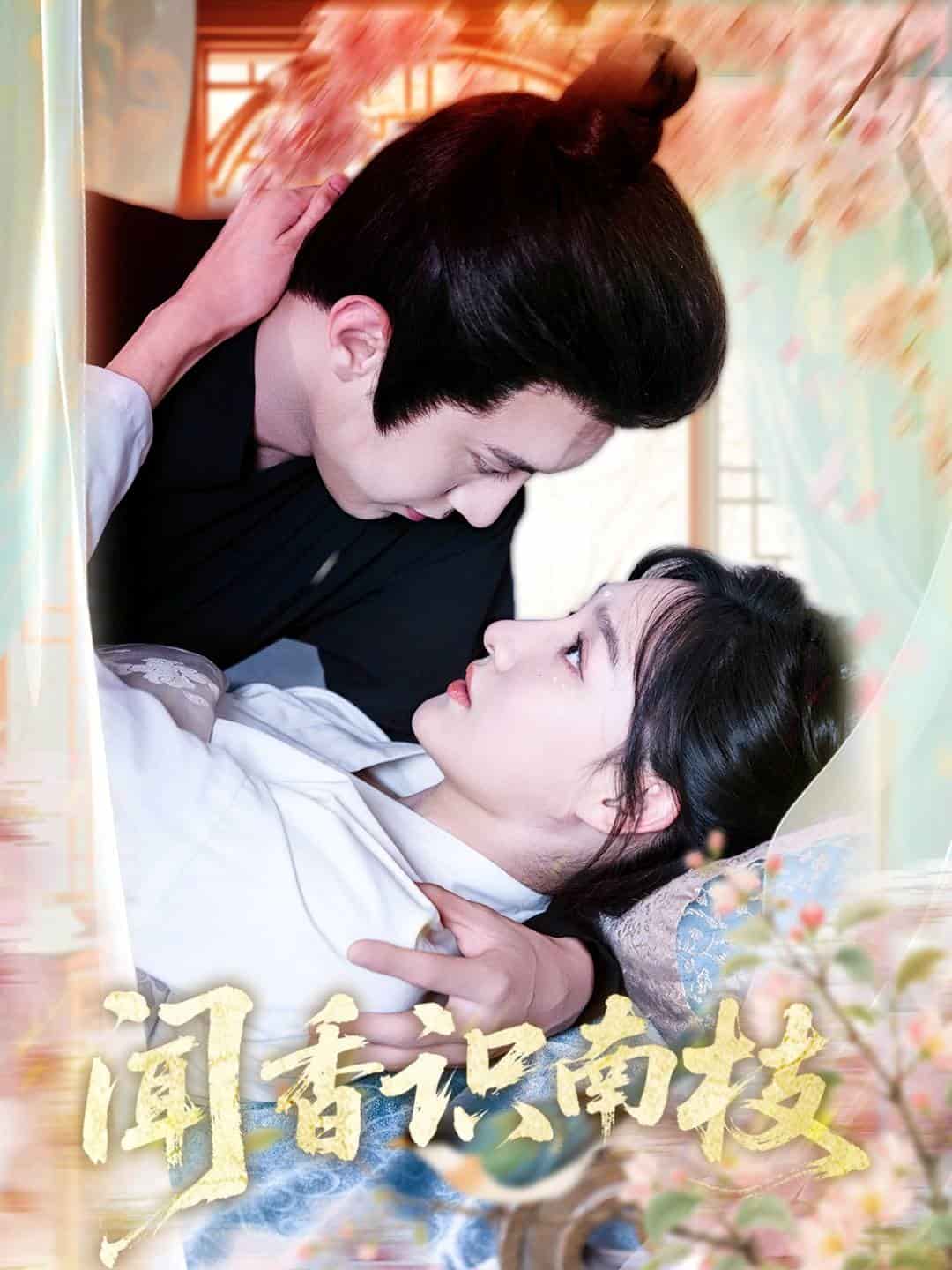 闻香识南枝(全集)