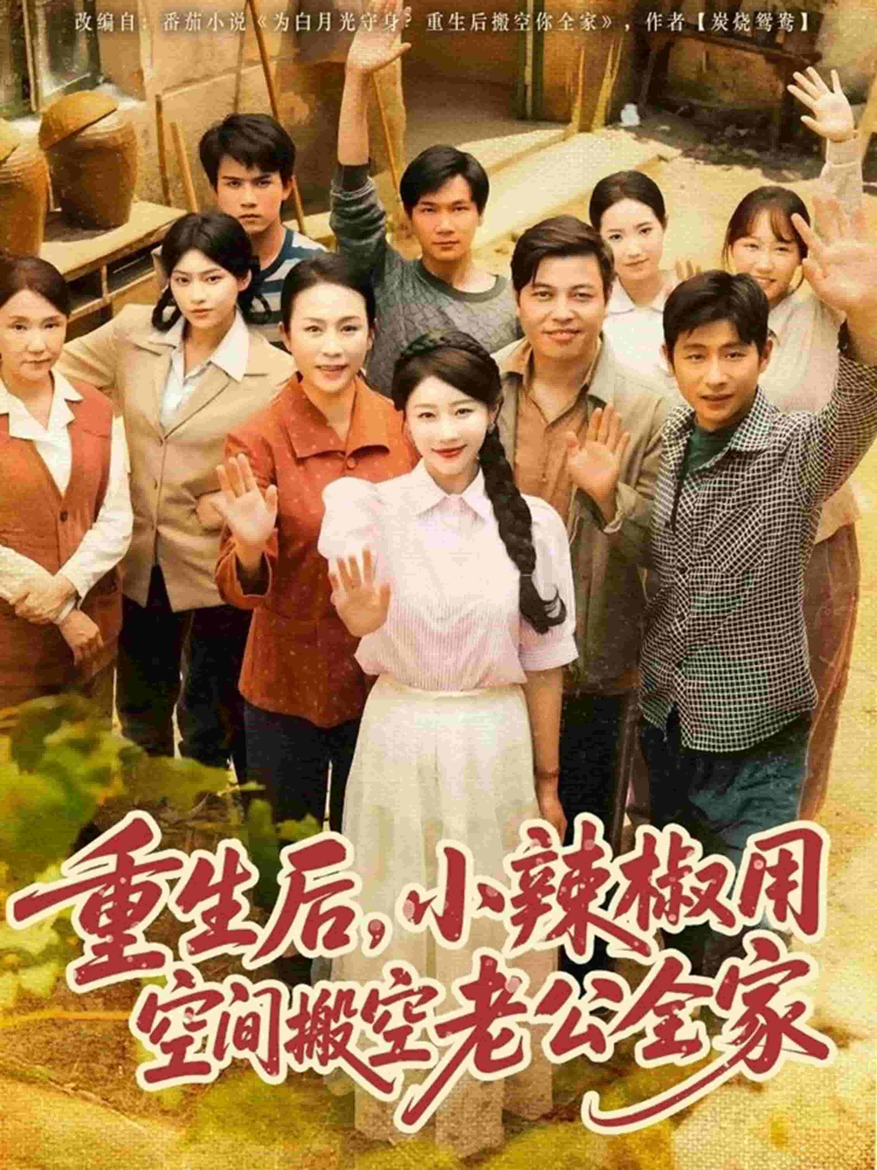 重生后，小辣椒用空间搬空老公全家(全集)