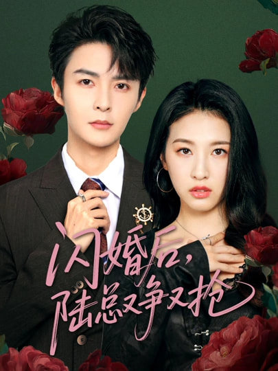 闪婚后陆总又争又抢(全集)