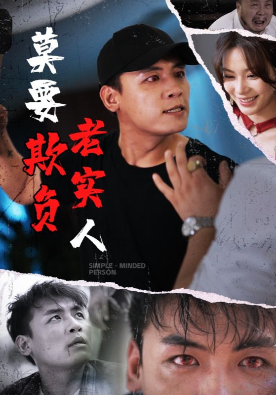 莫要欺负老实人(全集)
