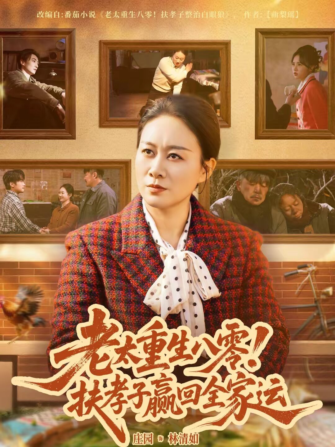 老太重生八零！扶孝子赢回全家运(全集)
