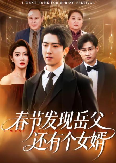 春节发现岳父还有个女婿(全集)