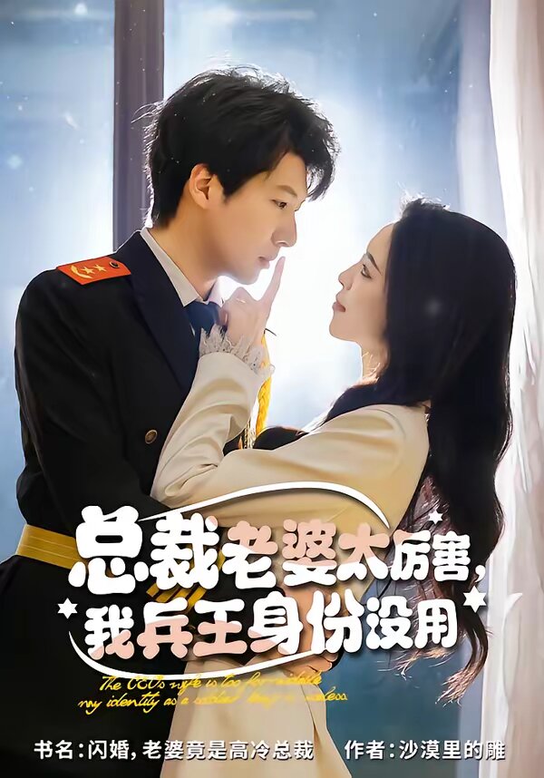 总裁老婆太厉害，我兵王身份没用(全集)