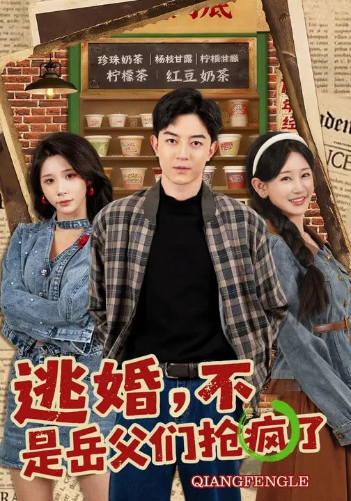 逃婚，不，是岳父们抢疯了(全集)