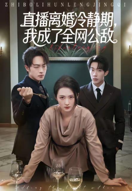 直播离婚冷静期，我成了全网公敌(全集)