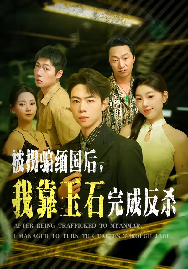 被拐骗缅国后，我靠玉石完成反杀(全集)